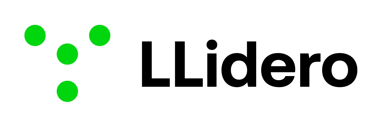 logo LLidero Sp. z o.o.